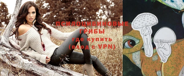 МДПВ Арсеньев