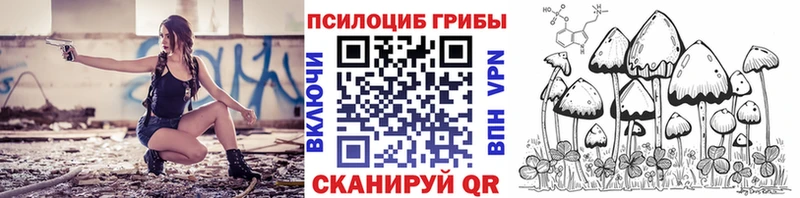 Галлюциногенные грибы MAGIC MUSHROOMS  Купить где  Сунжа 
