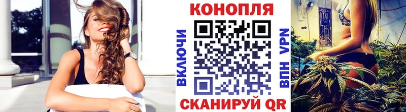 Канабис SATIVA & INDICA  Купить где  Сунжа 